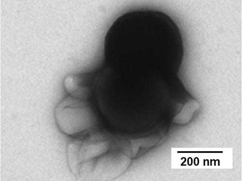 A modular nanorobot makes anticancer drug at HeLa cell surface