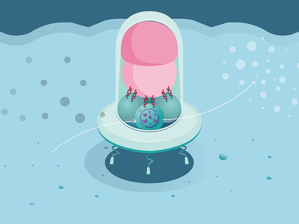 A modular nanorobot makes anticancer drug at HeLa cell surface