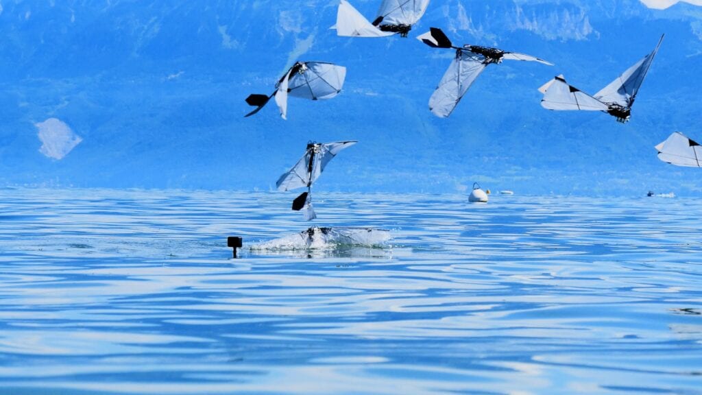 This flapping wing robot swims underwater, then flies away