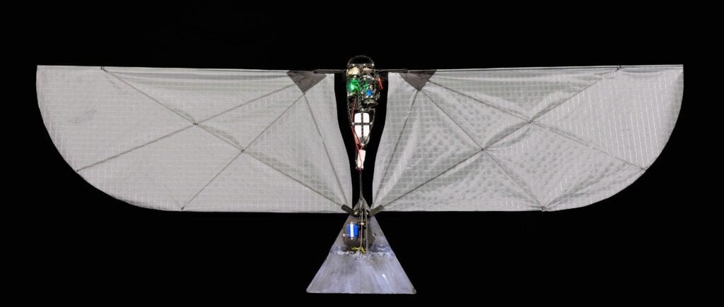 This flapping wing robot swims underwater, then flies away