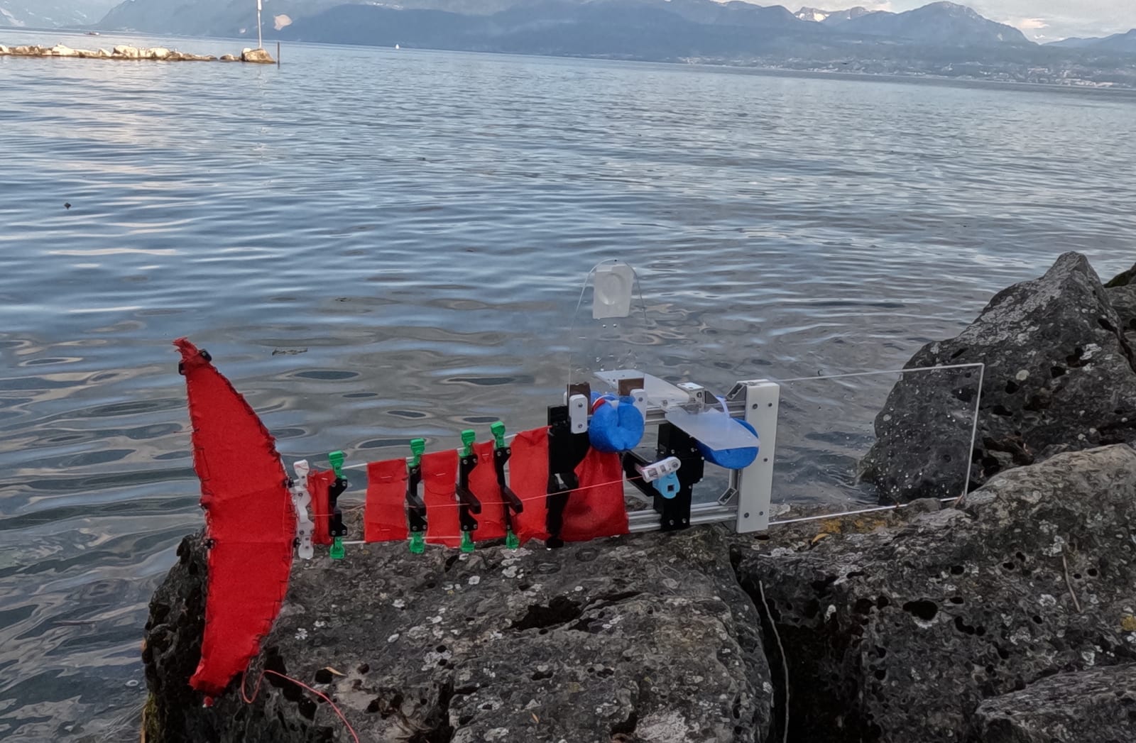 ScaFi robotic fish keeps its swim gait from 0.6 to 2.9 meters