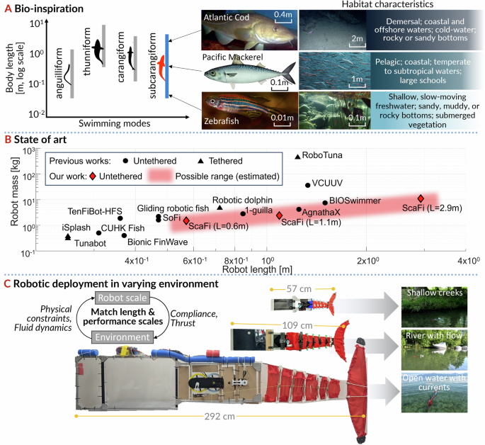 ScaFi robotic fish keeps its swim gait from 0.6 to 2.9 meters